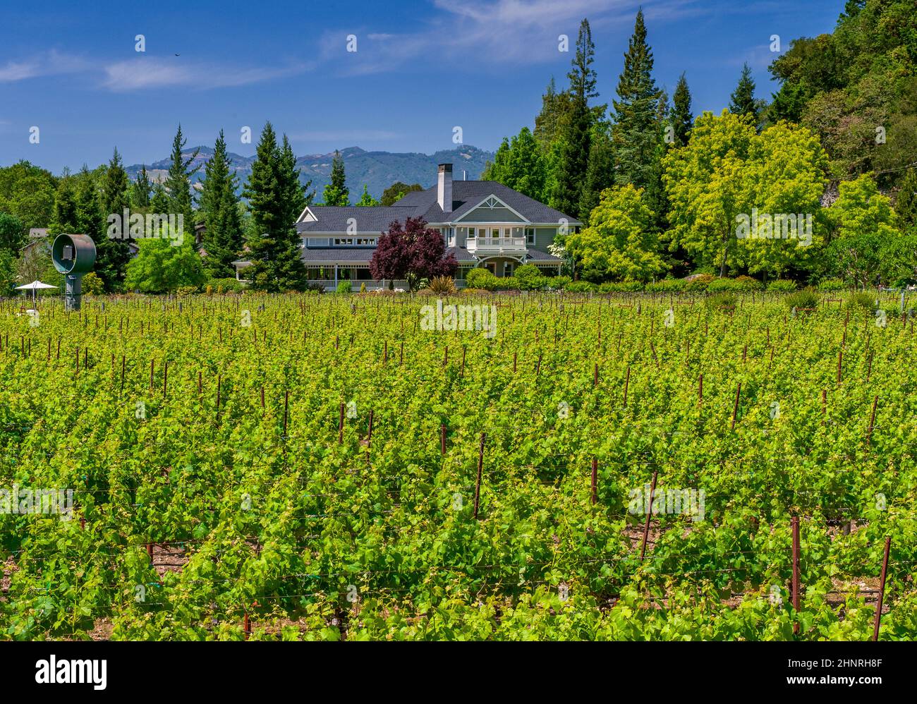 Duckhorn Vineyards, St. Helena, Napa Valley, California Stock Photo Alamy