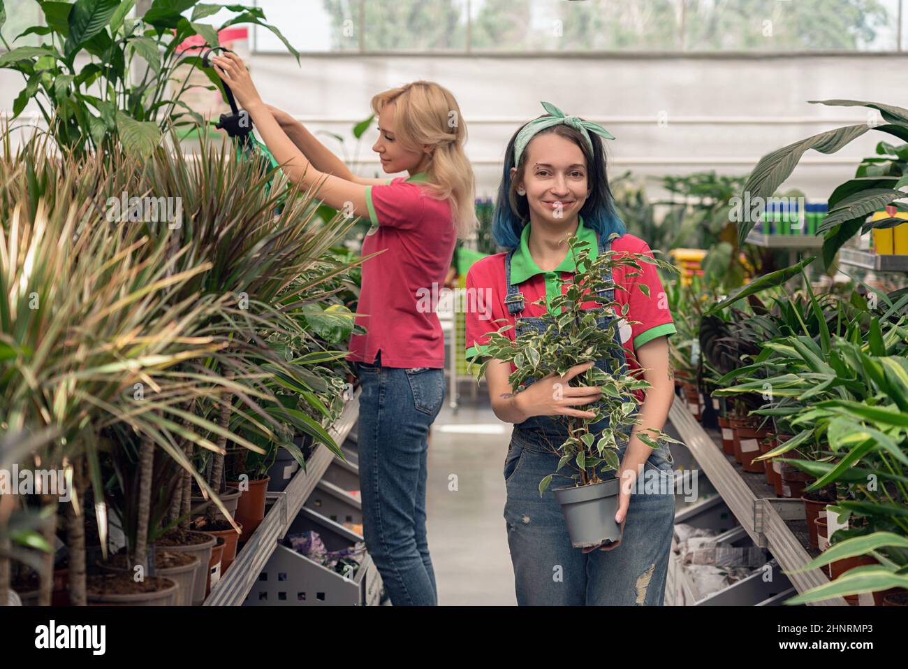 Two young women working in garden center arranging flowers Stock Photo ...