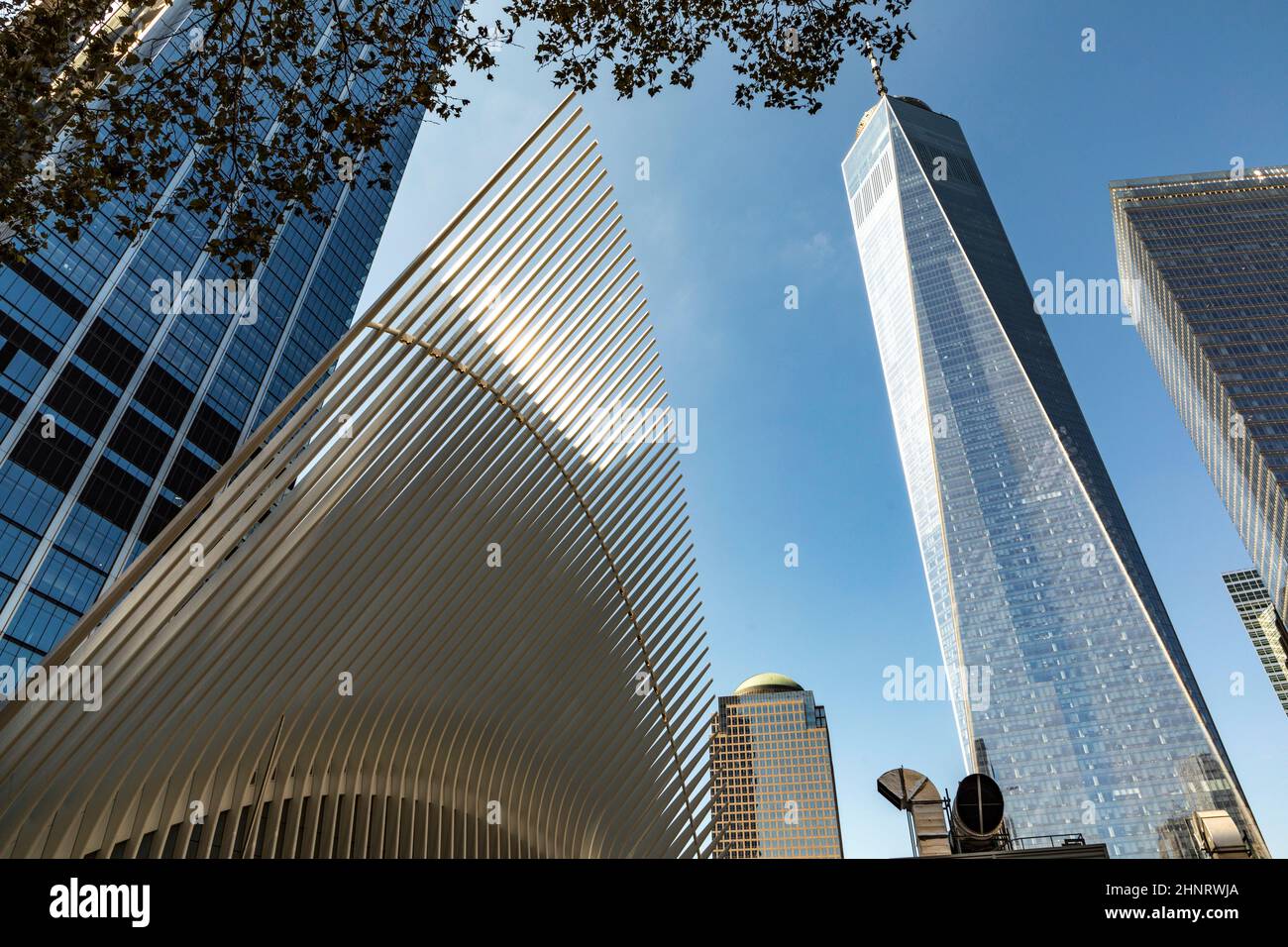 Distinctive architectural form of the Oculus transportation hub stands in front of a bright view of the One World Trade Center tower Stock Photo