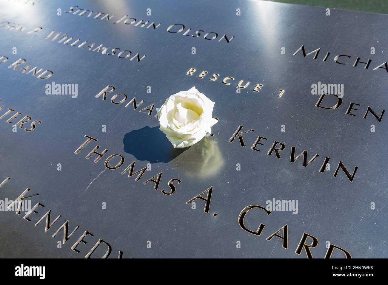 single Rose that is left by someone's name at the 9/11 memorial in New York City to show that its the victims birthday today Stock Photo