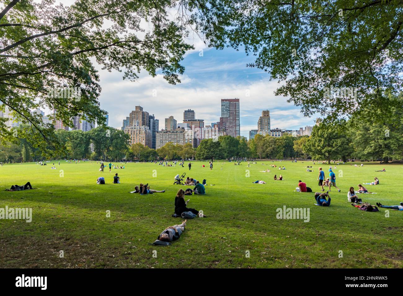 people relax in front of  trees at Sheep Meadow Central Park in New York Stock Photo