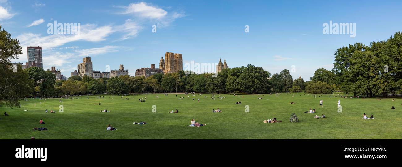 people relax in front of  trees at Sheep Meadow Central Park in New York Stock Photo