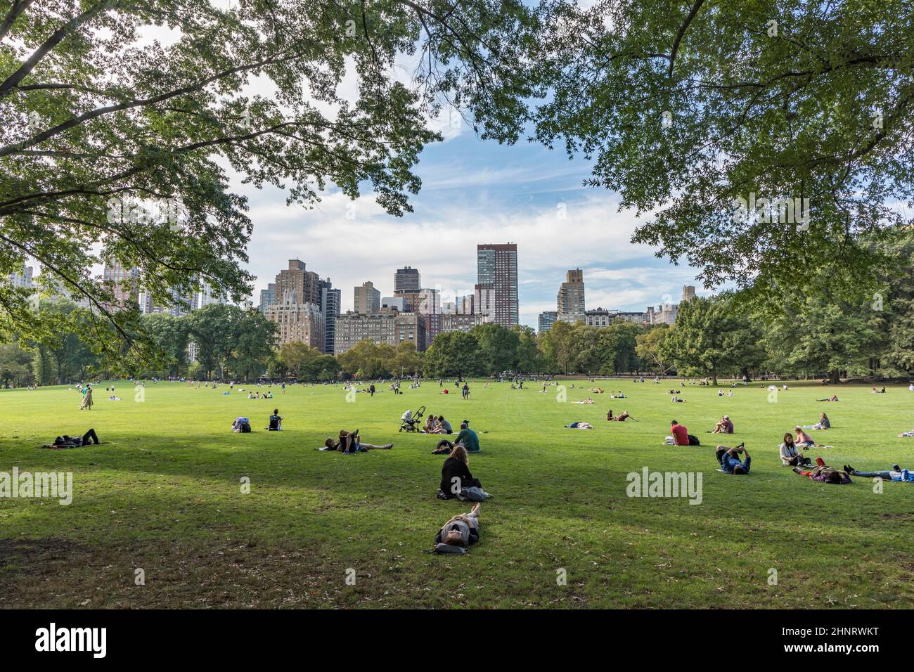 people relax in front of  trees at Sheep Meadow Central Park in New York Stock Photo