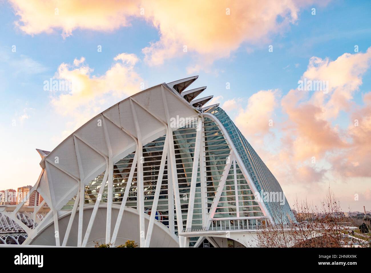 Modern city landmark of the city of Valencia - the park complex Ciudad de las Artes y las Ciencias, Valencia, Spain Stock Photo