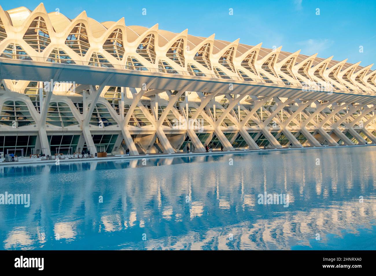 A building of modern and futuristic architecture in the city of sciences and arts in Valencia, park complex Ciudad de las Artes y las Ciencias Spain. Reflection in the water of building structures. Stock Photo