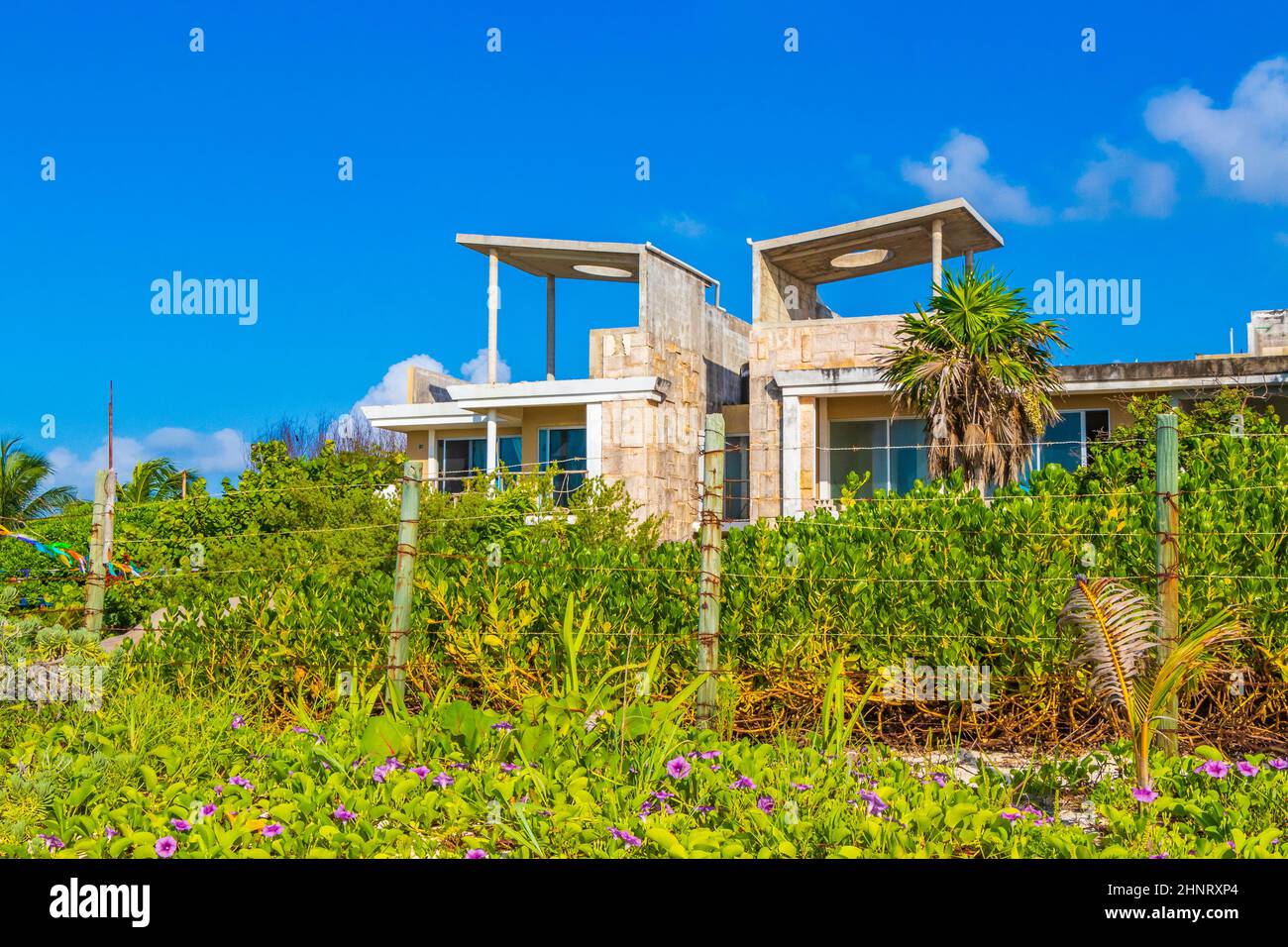 Tropical plants natural beach buildings behind Playa del Carmen Mexico. Stock Photo