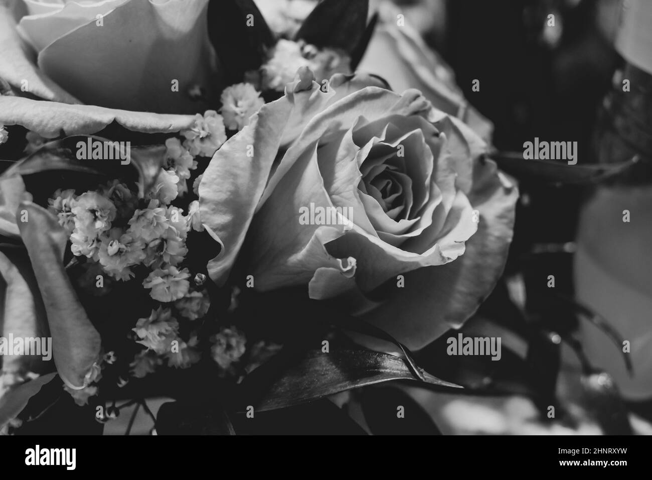 bouquet of roses black and white abstract background Stock Photo - Alamy