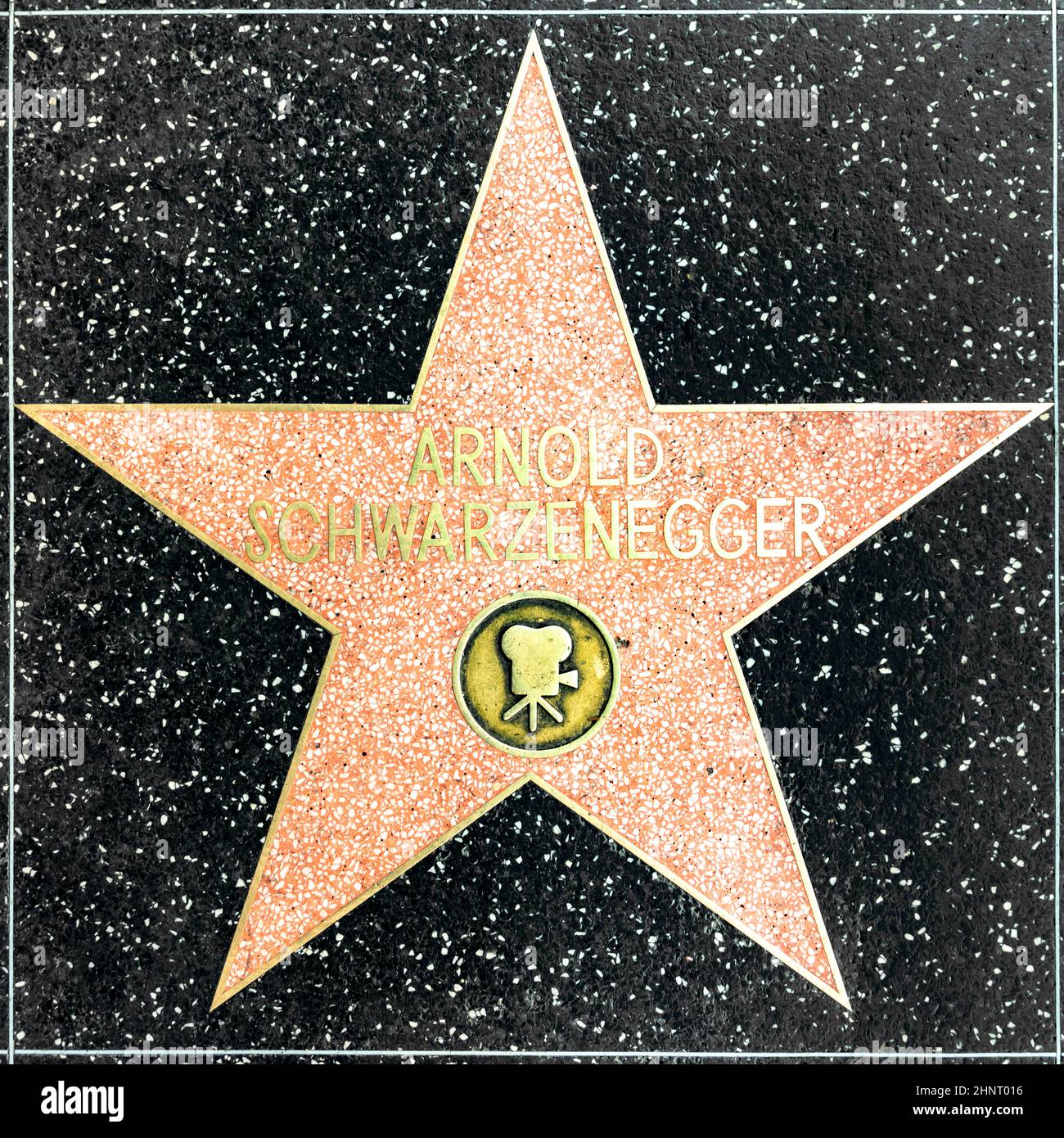 closeup of Star on the Hollywood Walk of Fame for Arnold Schwarzenegger Stock Photo