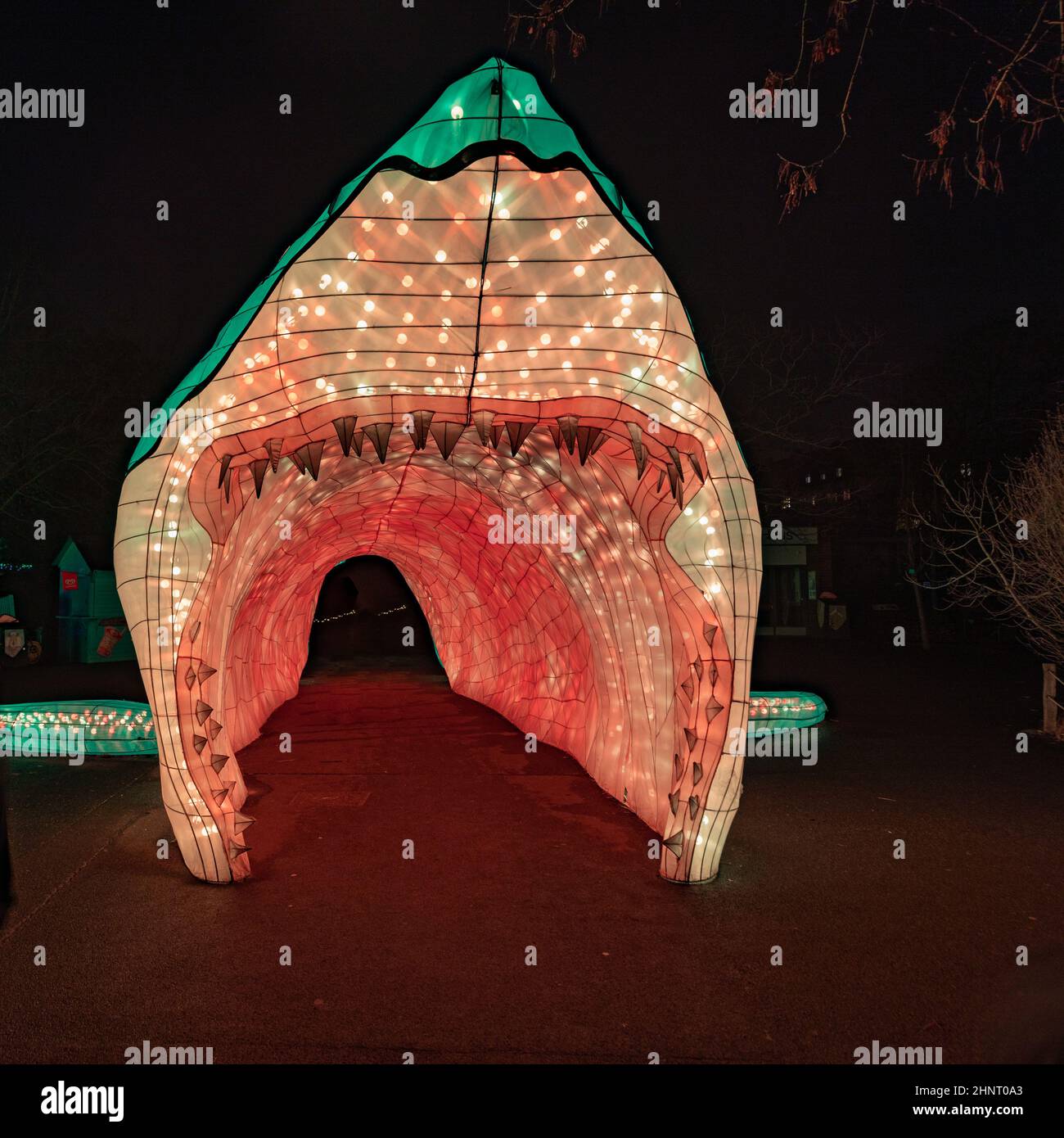 CHINA LIGHT-FESTIVAL at Cologne Zoo with many animals made of light ...