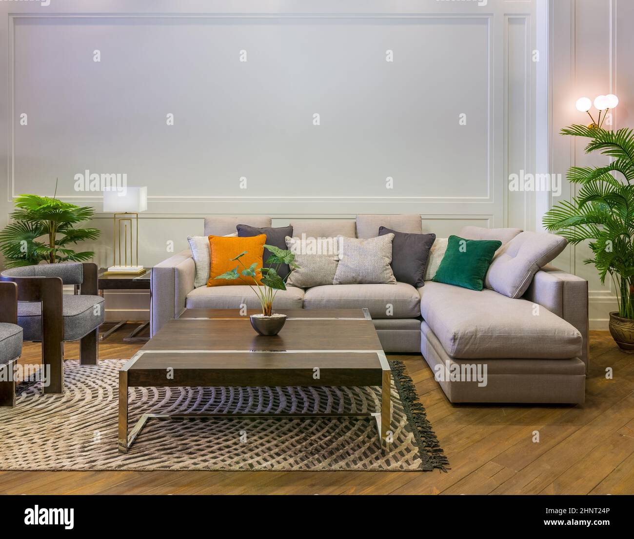 Gray sofa with colorful cushions placed and table on rug in spacious modern room with armchairs and green potted plants Stock Photo
