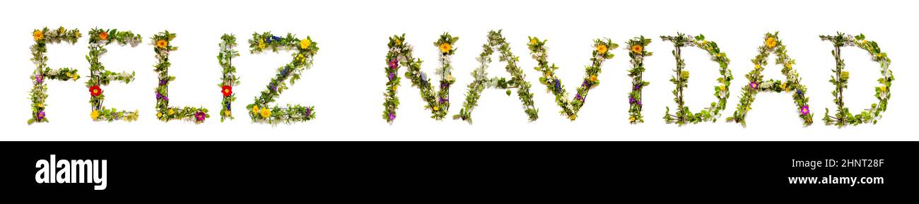 Flower, Branches And Blossom Letter Building Spanish Word Feliz Navidad Means Merry Chirstmas. White Isolated Background Stock Photo