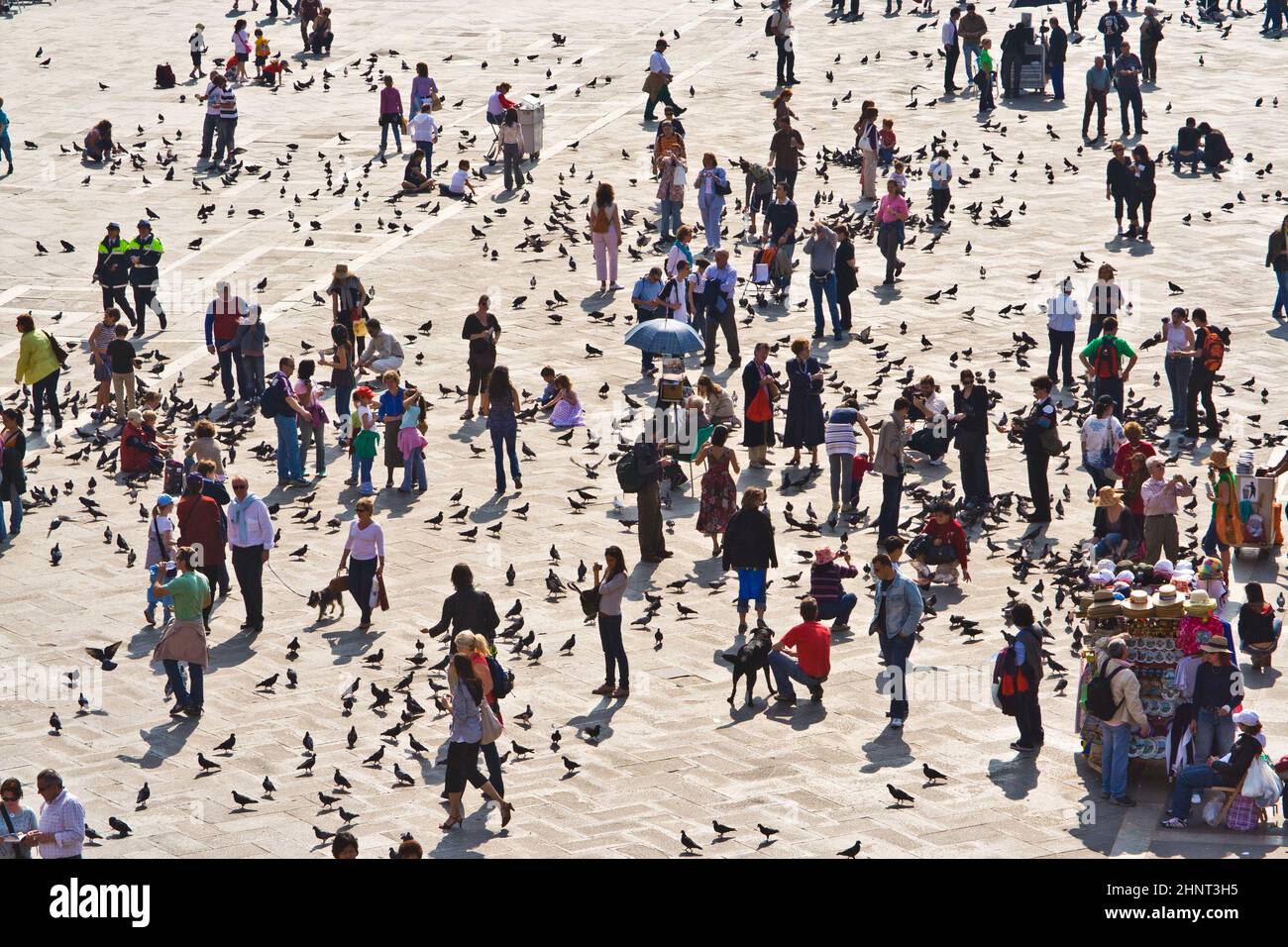 Tourists on San Marco square feed large flock of pigeons Stock Photo