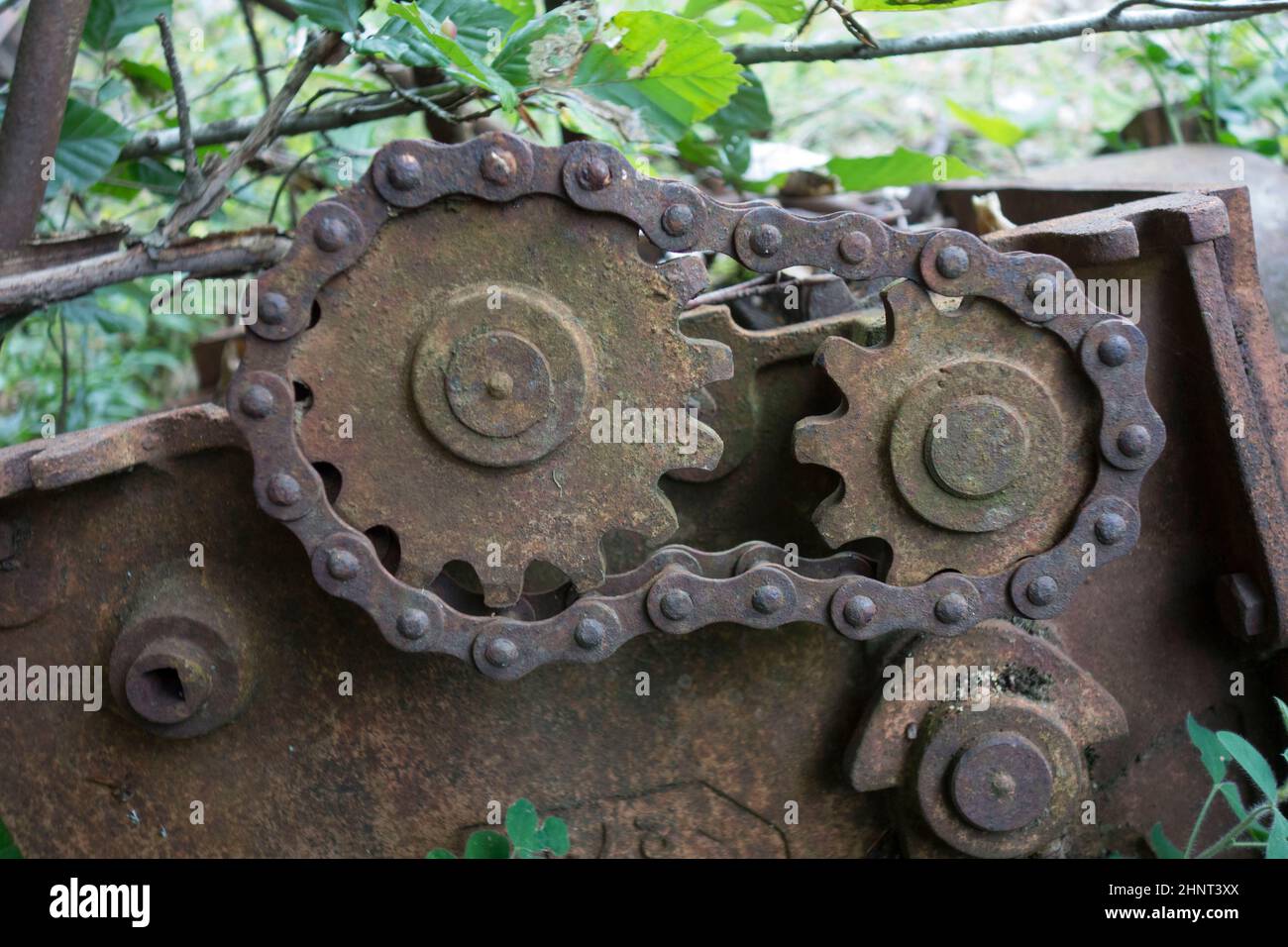 a gear or cog wheel as part of mechanical machinery Stock Photo