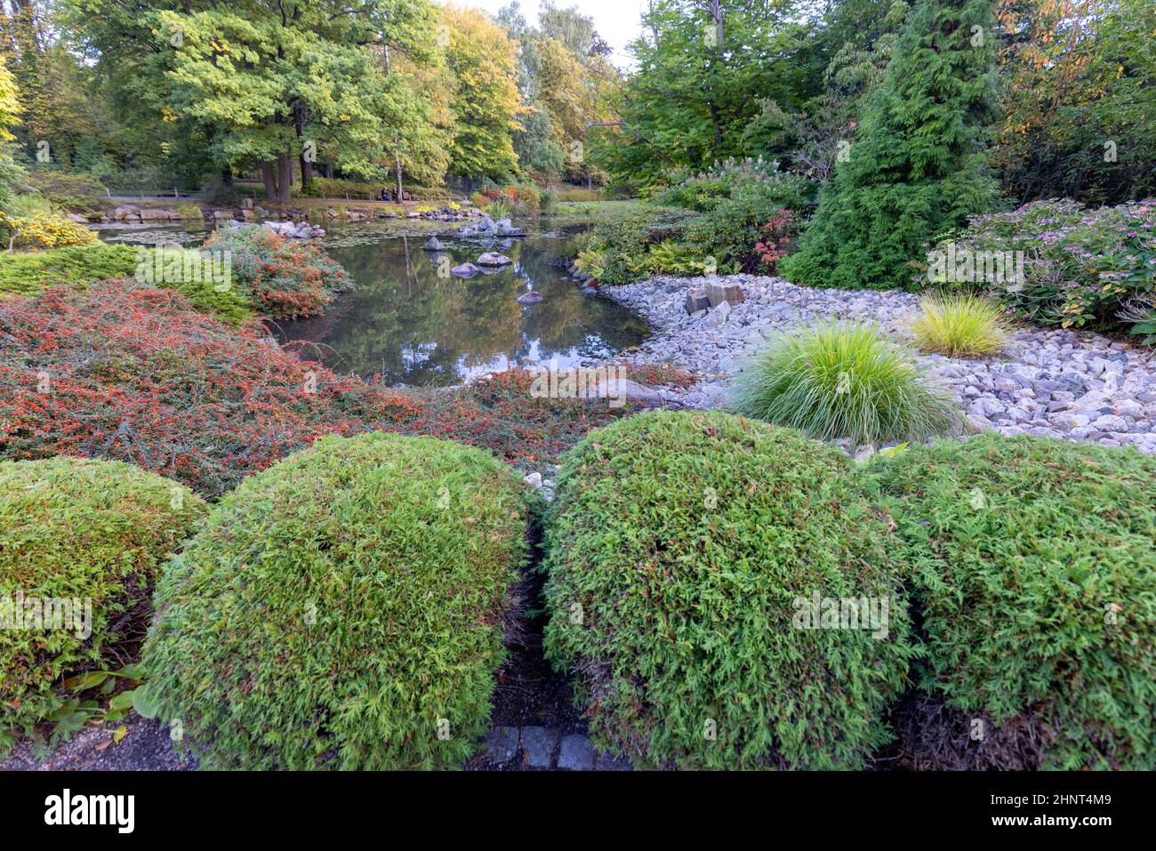 Japanese Garden in  Szczytnicki Park, exotic plants, Wroclaw, Poland. Stock Photo