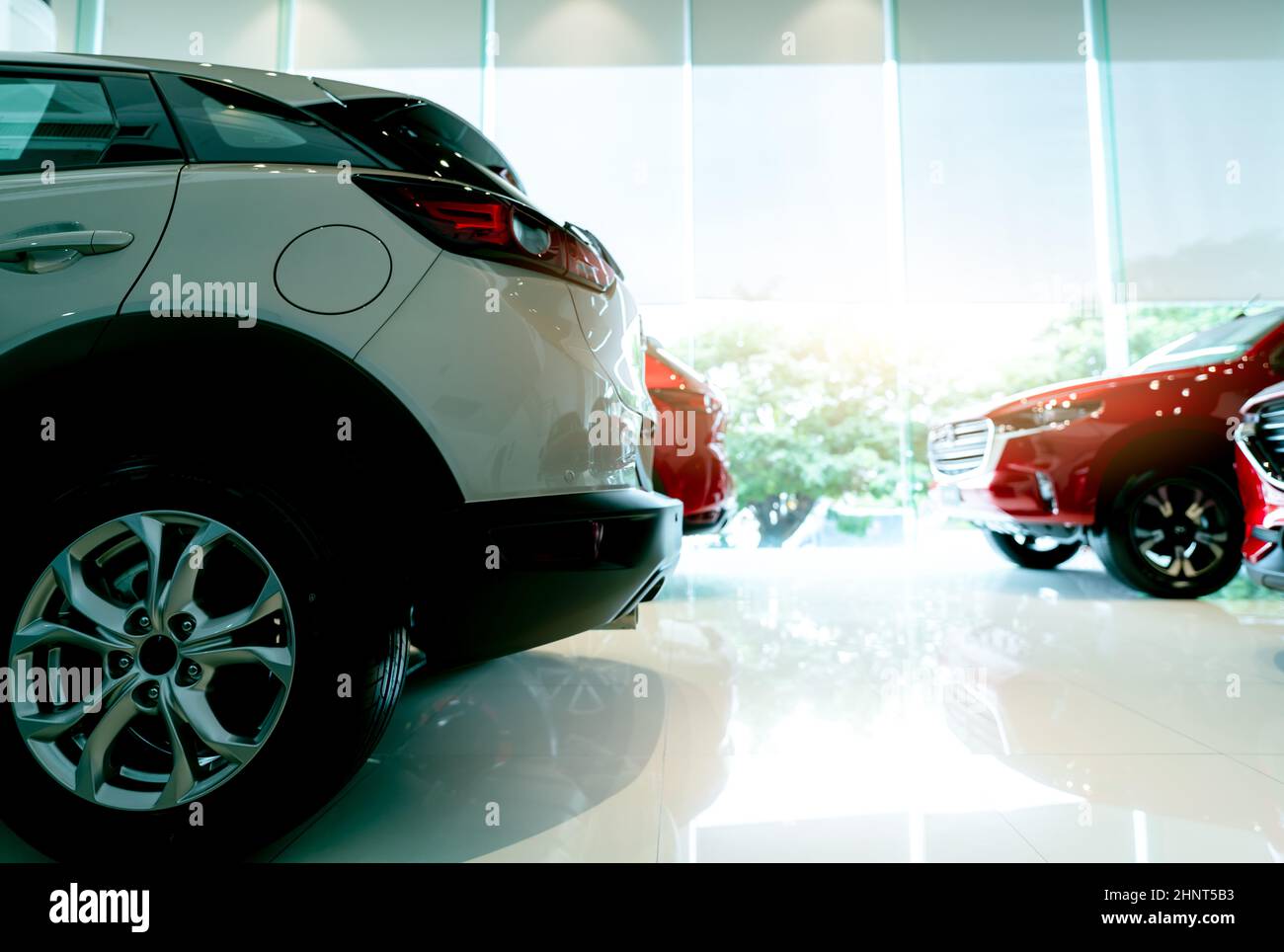 White luxury SUV car parked in modern showroom and blurred red car. Car dealership and auto leasing concept. Automotive industry. Showroom interior. New car stock for sale. Glass building of showroom. Stock Photo
