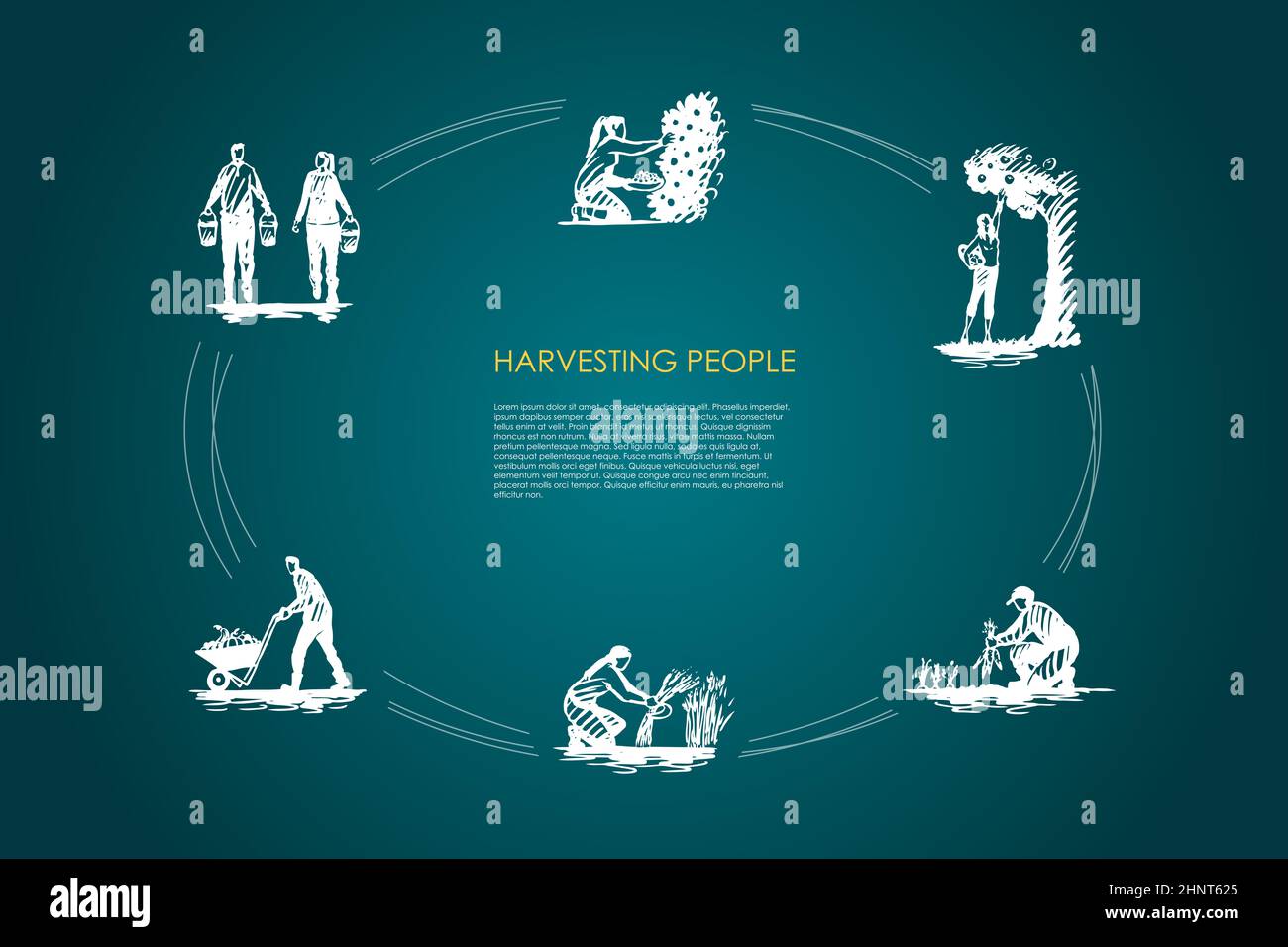 Harvesting people - people picking fruits and carrots, binding grass, carrying and transporting harvest vector concept set. Hand drawn sketch isolated Stock Photo