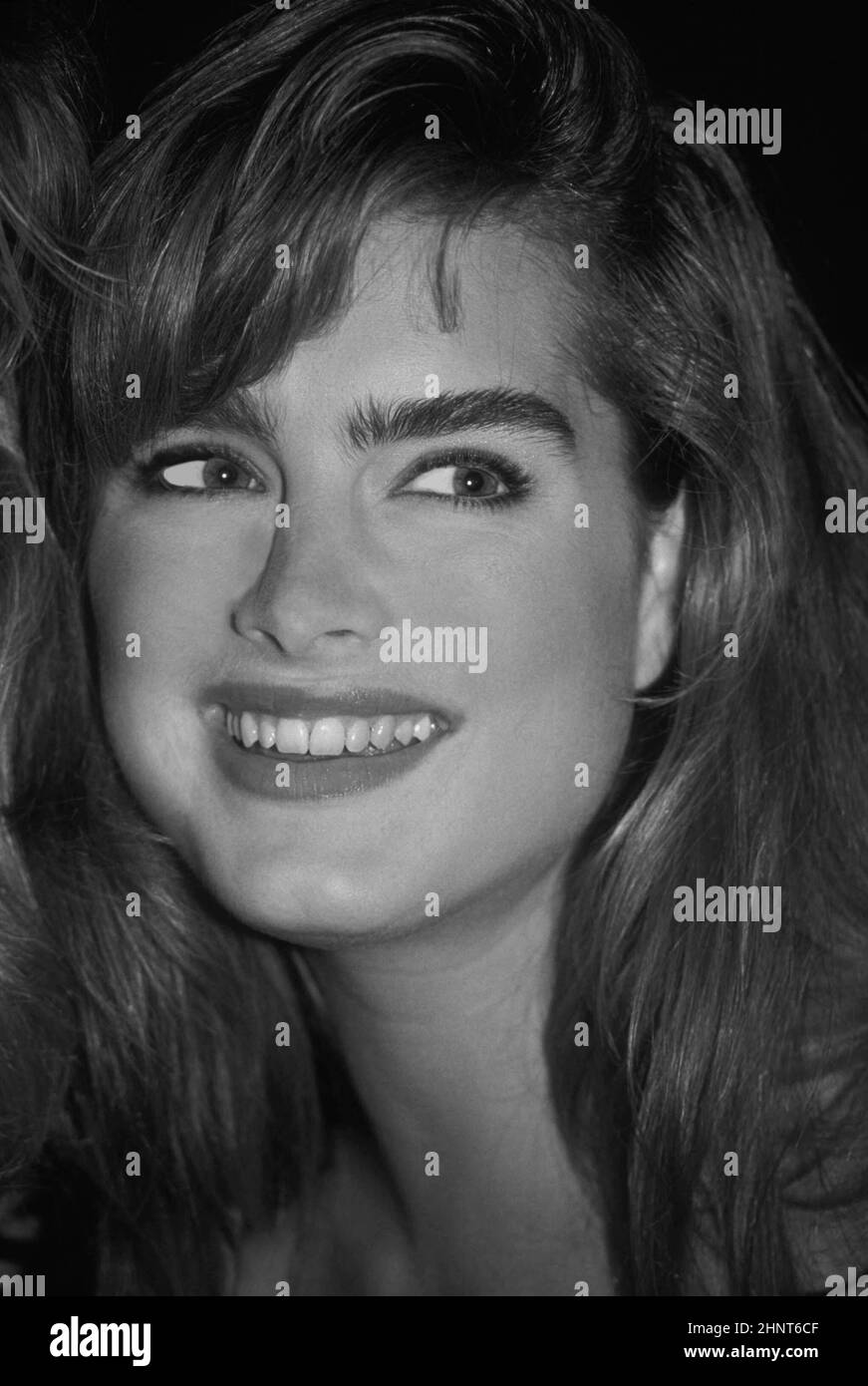 Brooke Shields 1988 Photo by Adam Scull/PHOTOlink Stock Photo