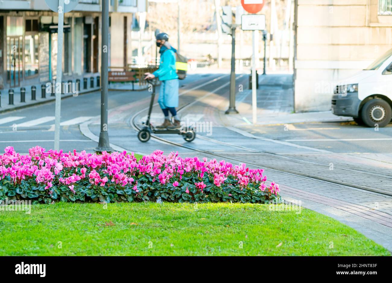 Selective focus pink flowers decor in the garden on the traffic island on blur a man riding electric scooter across railway of city tram. Modern transport in Europe. Electric vehicle. Green transport. Stock Photo