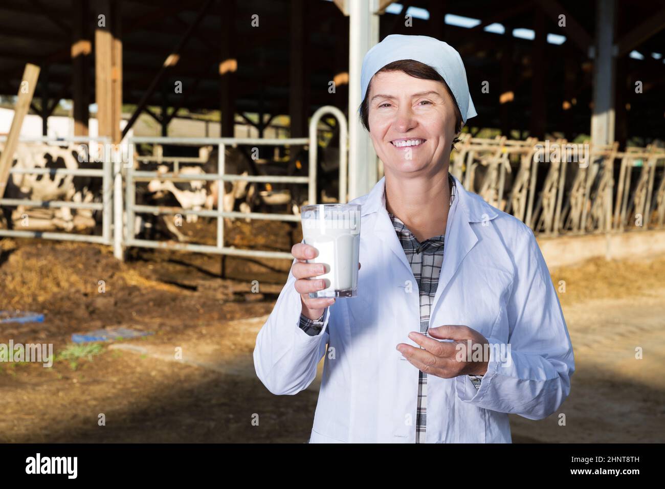 farmer in white robe posing background of cows in stall with milk Stock Photo Alamy