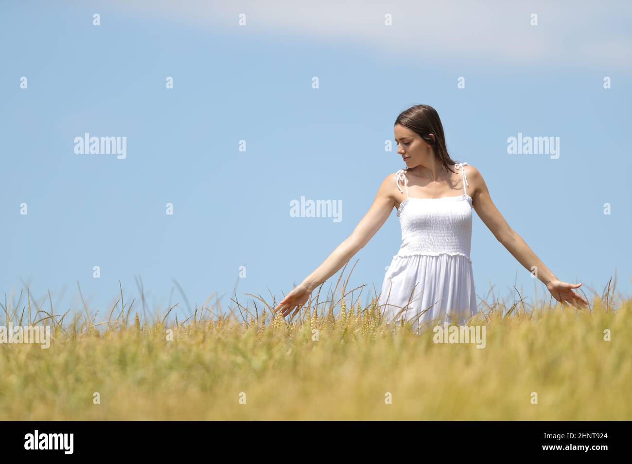 Beautiful woman walking across a wheat field touching plants Stock ...