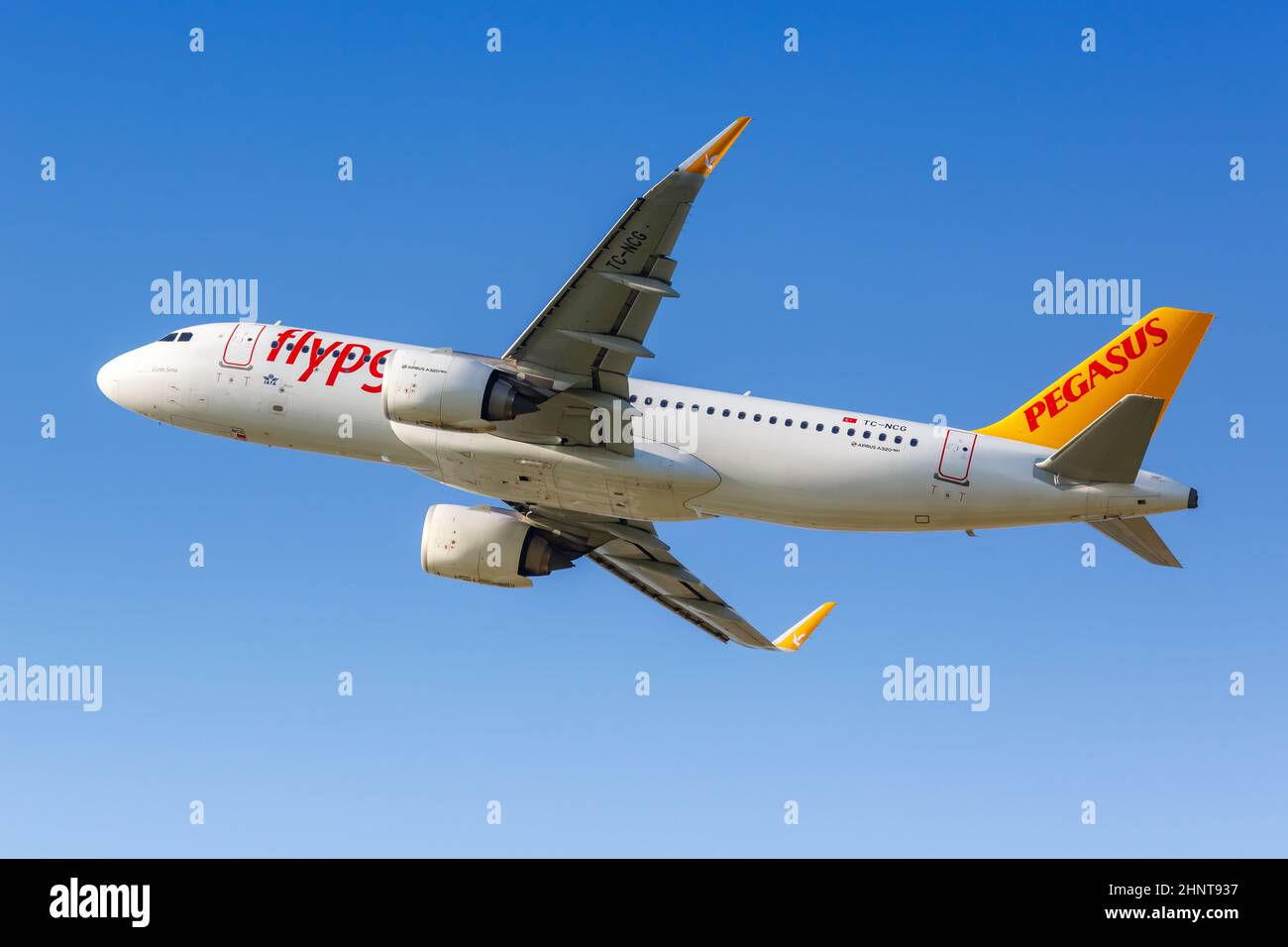 Flypgs Stockfotos, Lizenzfreie Flypgs Bilder Depositphotos