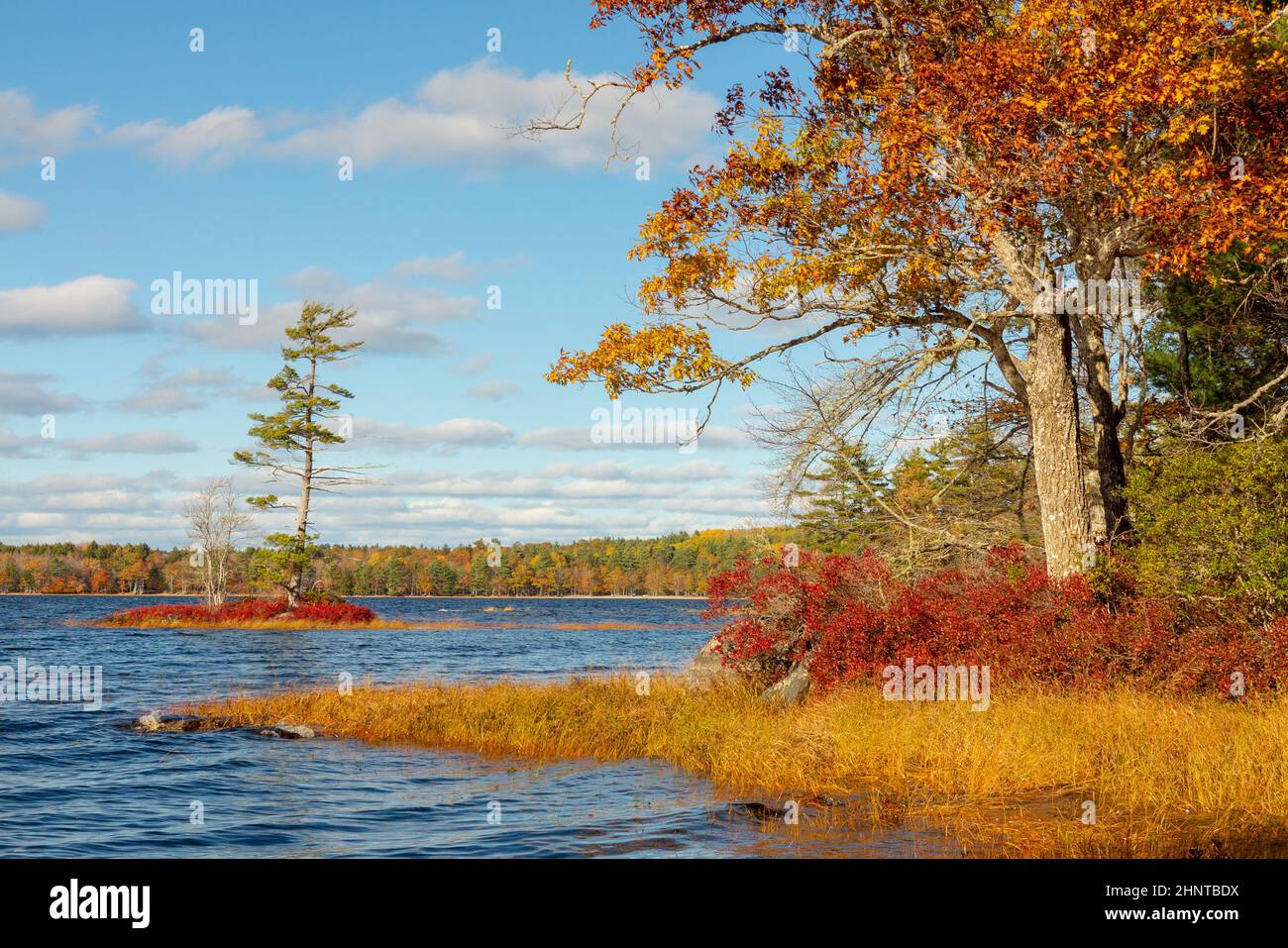 boating lake at Nova Scotia in Canada Stock Photo Alamy