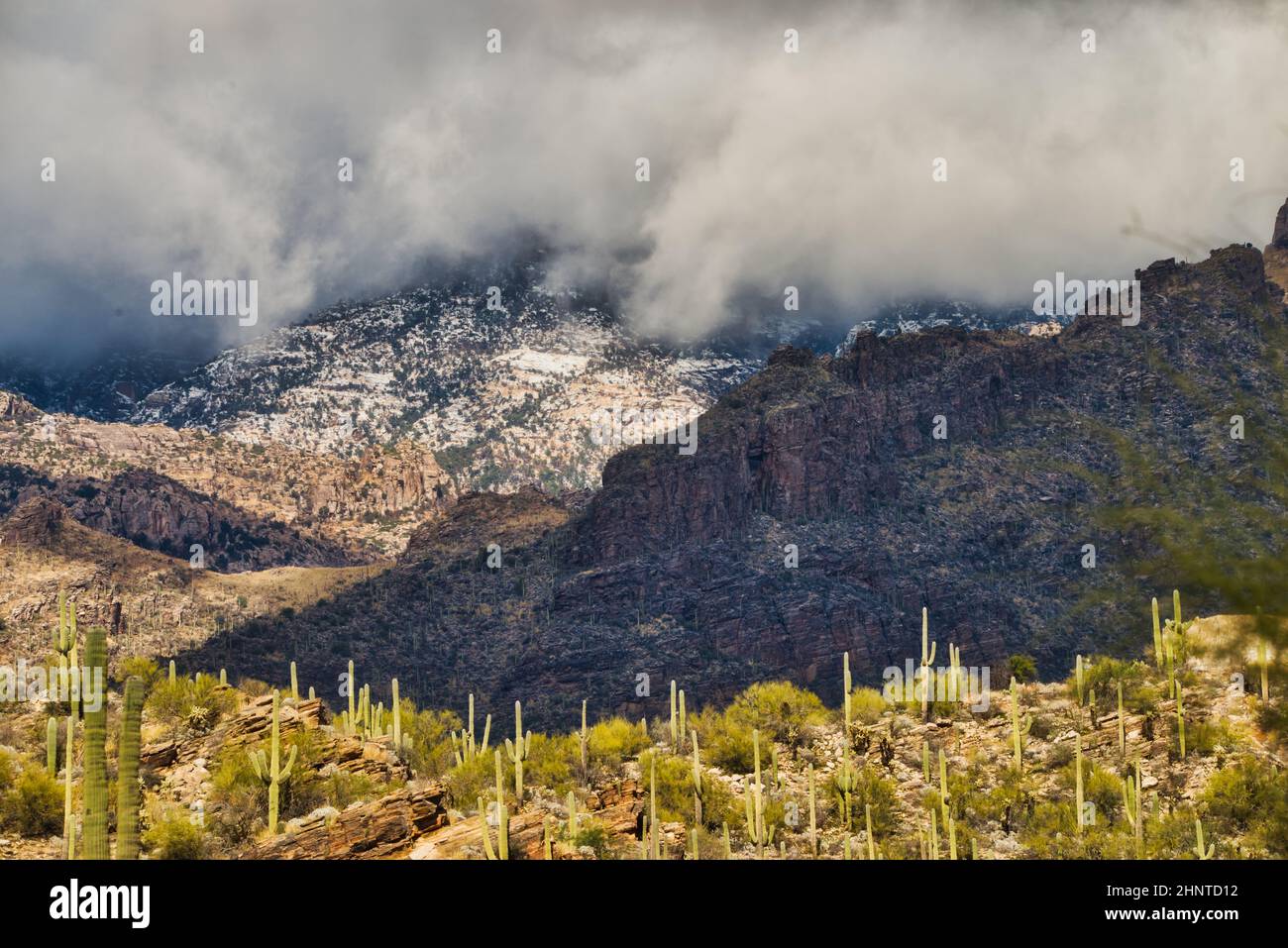 Desert landscape in Tucson Arizona Stock Photo - Alamy
