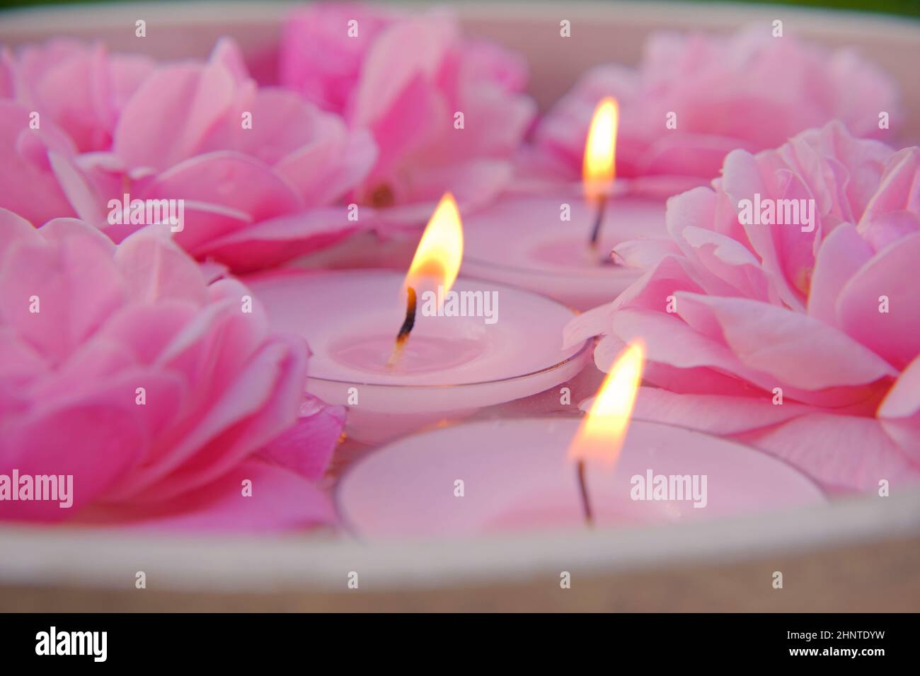 Pink Rose Petals And Candles