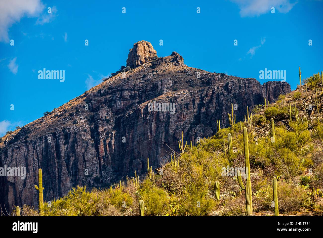 Desert landscape in Tucson Arizona Stock Photo - Alamy