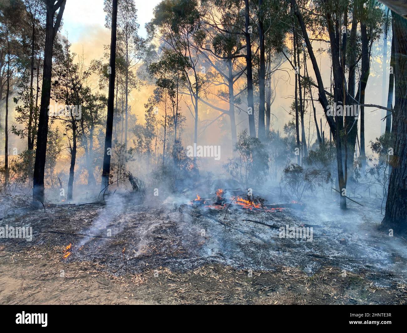 The ground burning after a hazard reduction burn Stock Photo - Alamy
