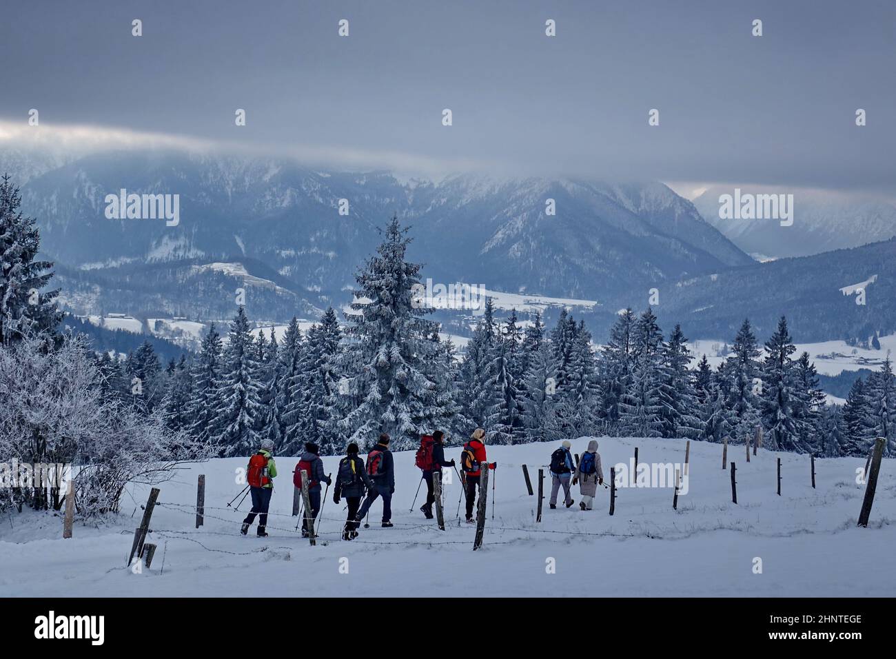 Bavaria, Upper Bavaria, hiking groupe, Schwarzenberg mountain, Valley of the Leitzach, Frost, Snow, Winter Stock Photo