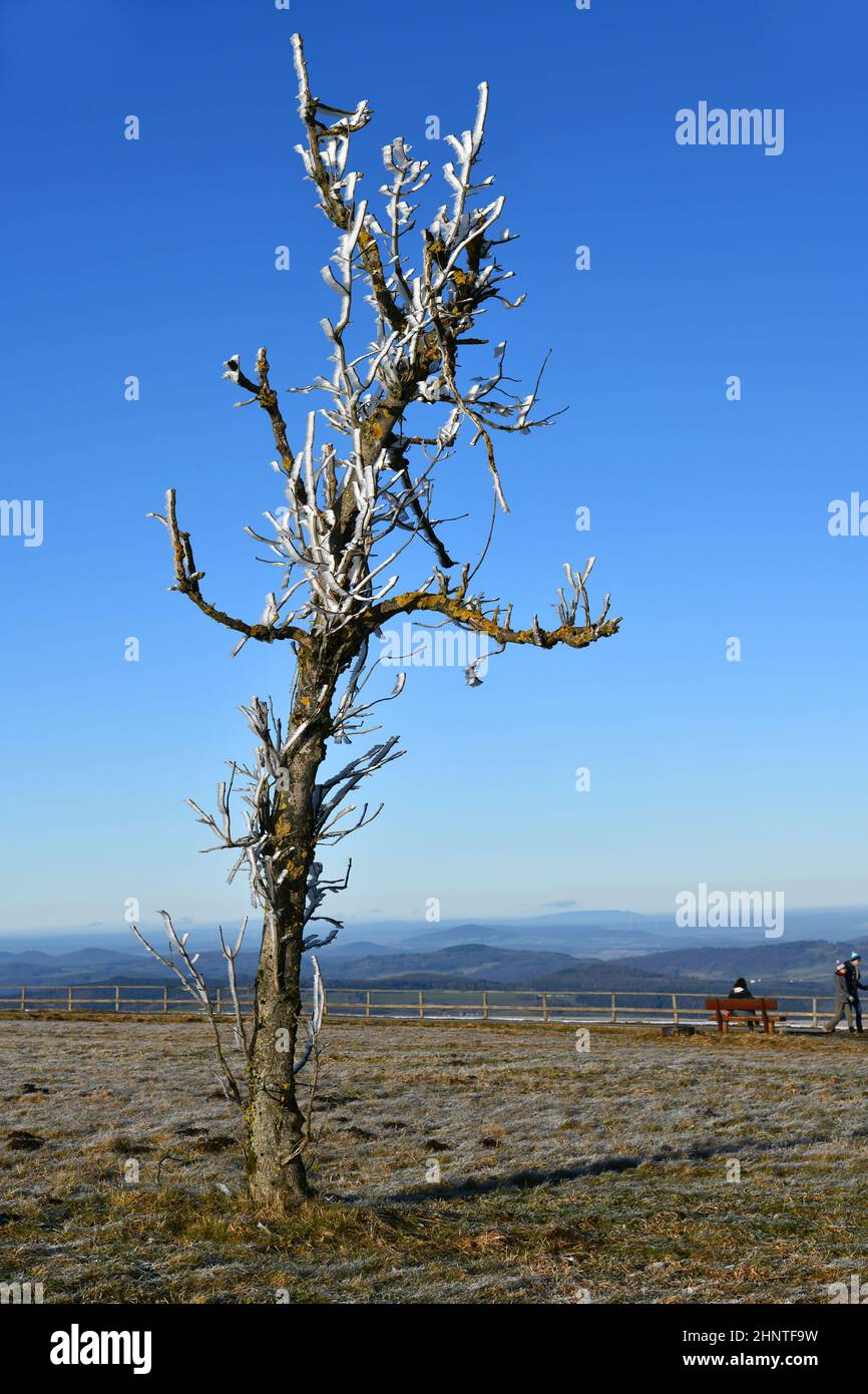 The Wasserkuppe, mountain in the Rhön Stock Photo