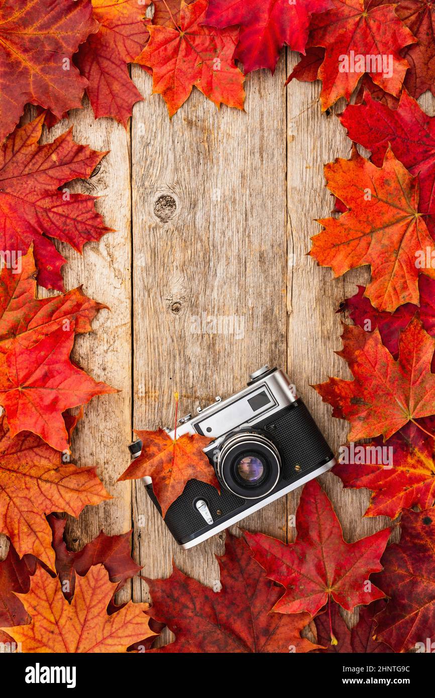 Old camera and red autumn maple leaves,top view Stock Photo