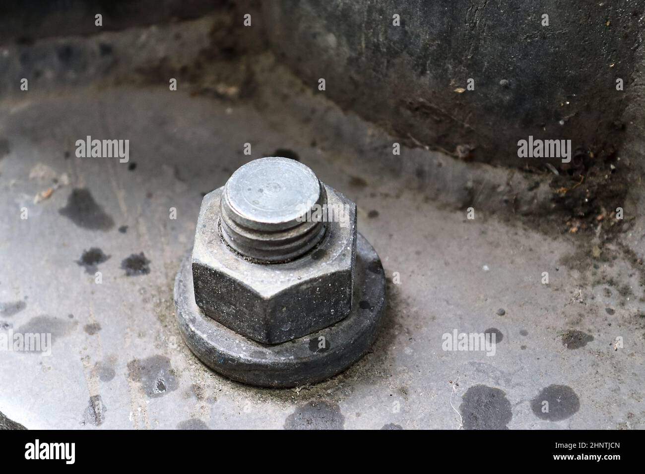 Skrew Detailed close up view on metal screws in high resolution Stock Photo ...