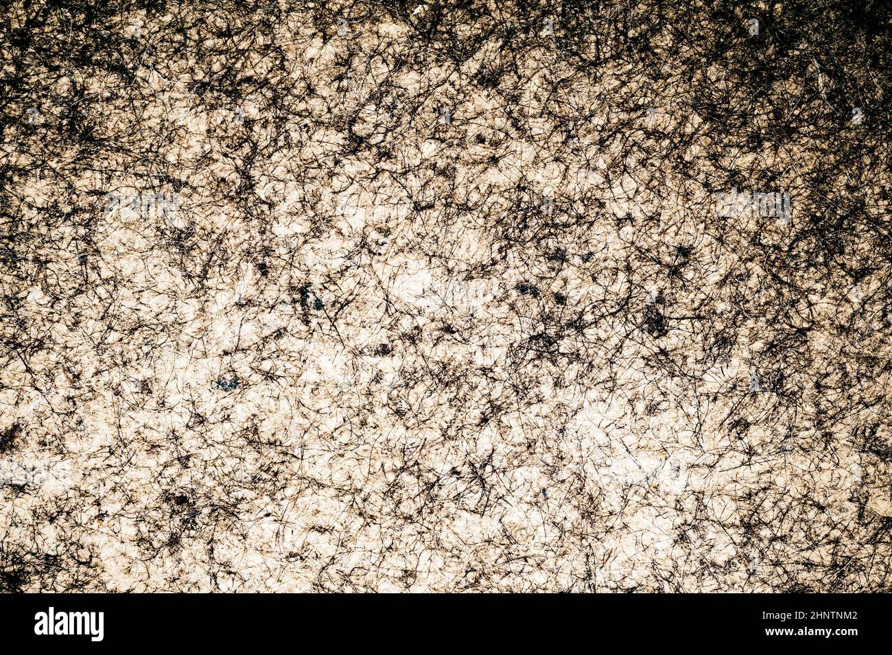Gray material abstract background. felt carpet texture Stock Photo