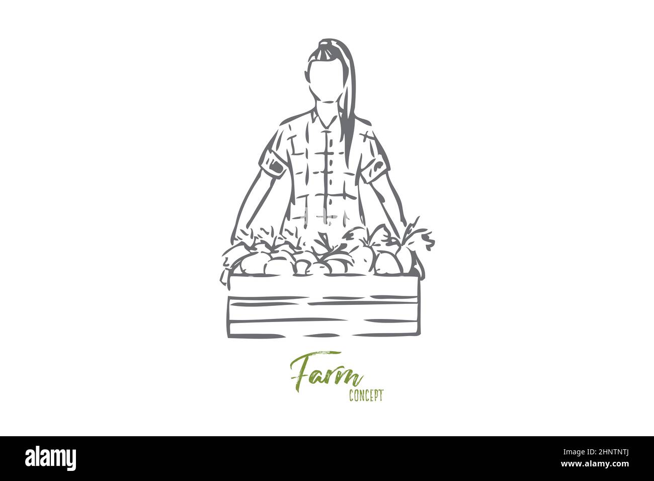 Box of harvest concept sketch. Woman, agriculture worker collecting fruit, vegetables. Harvesting organic produce. Farmland lifestyle chores and jobs. Stock Photo