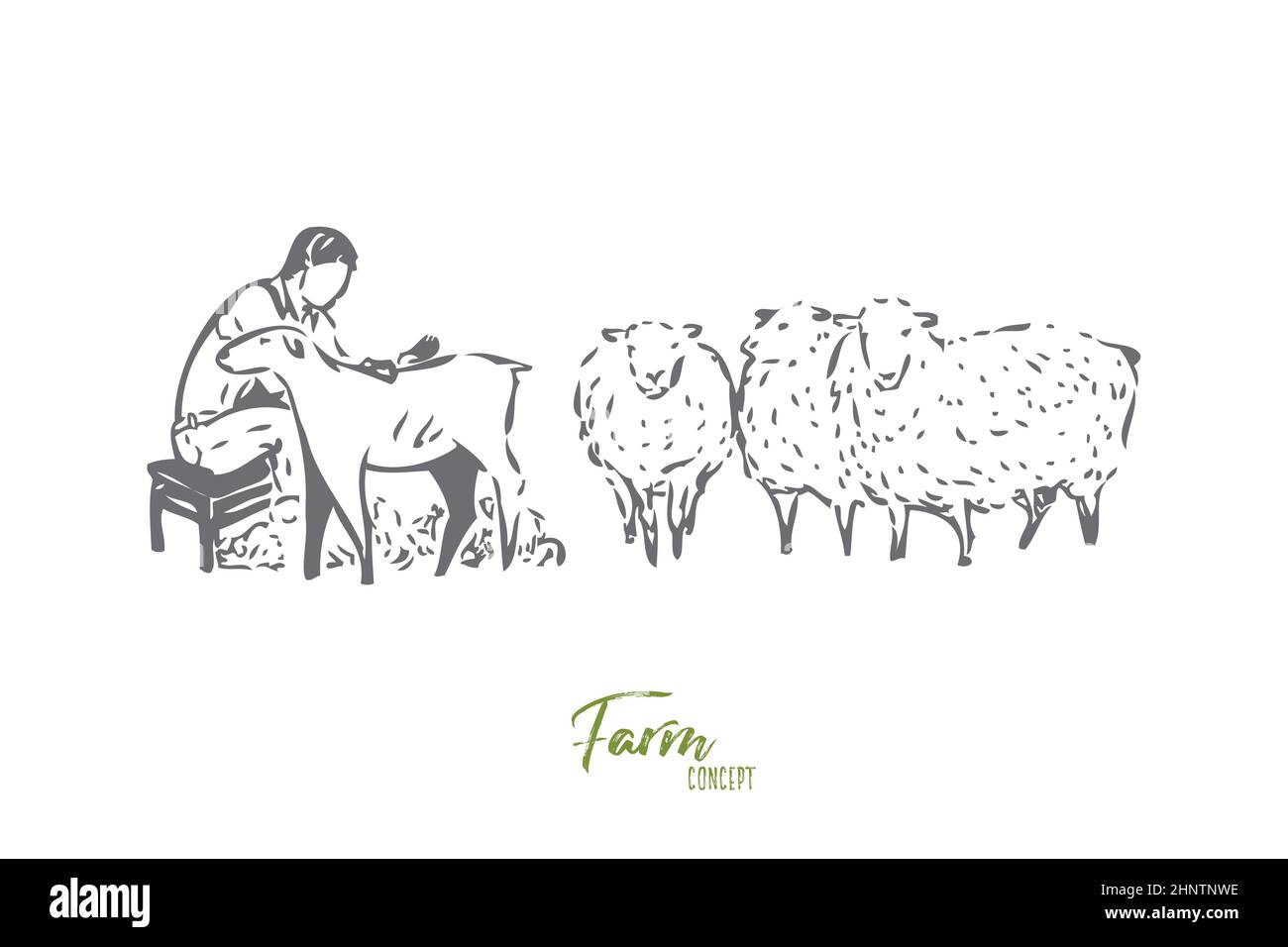 Collecting wool concept sketch. Man, livestock worker, farmer shearing sheep. Looking after farm animals. Countryside lifestyle jobs, responsibilities Stock Photo