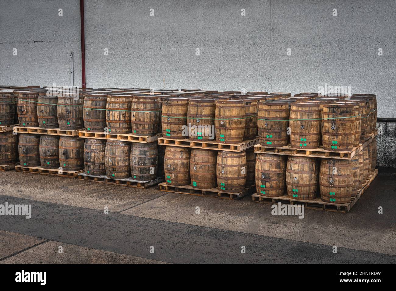 Rows of large wooden barrels on pallets with whiskey or wine ready for