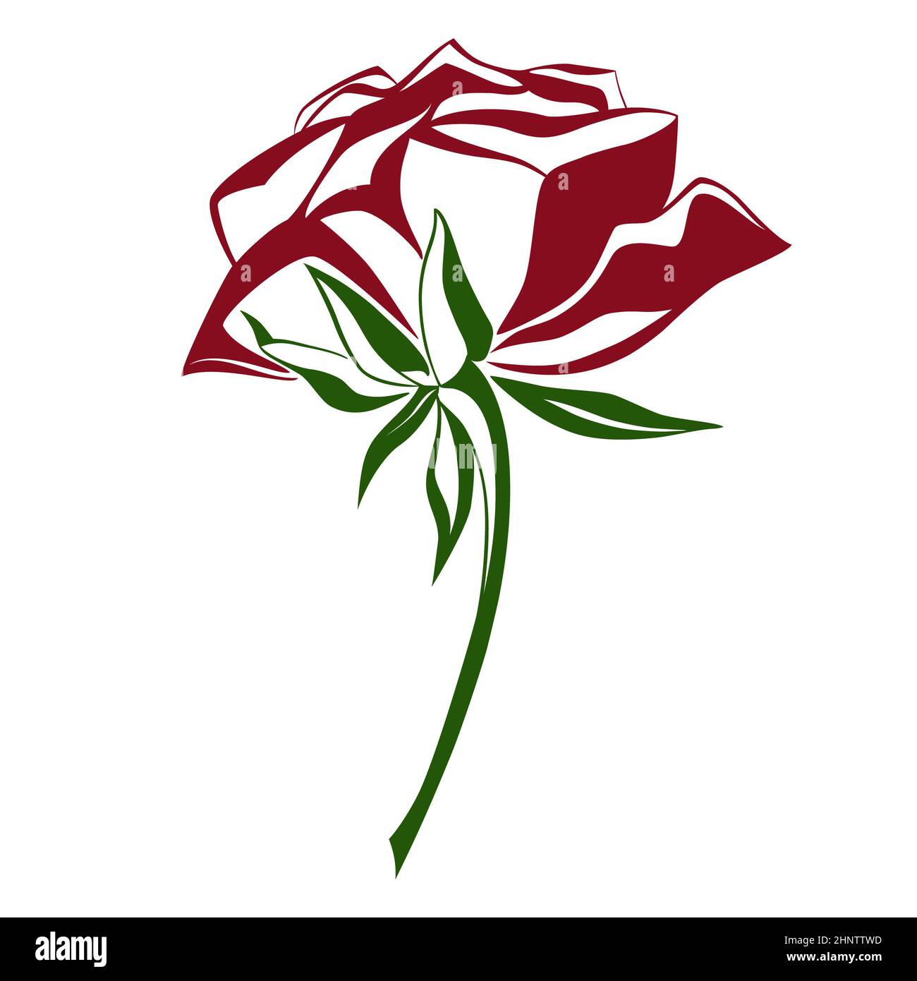 Rose flower sketch isolated on white, vector illustration Stock Photo Alamy