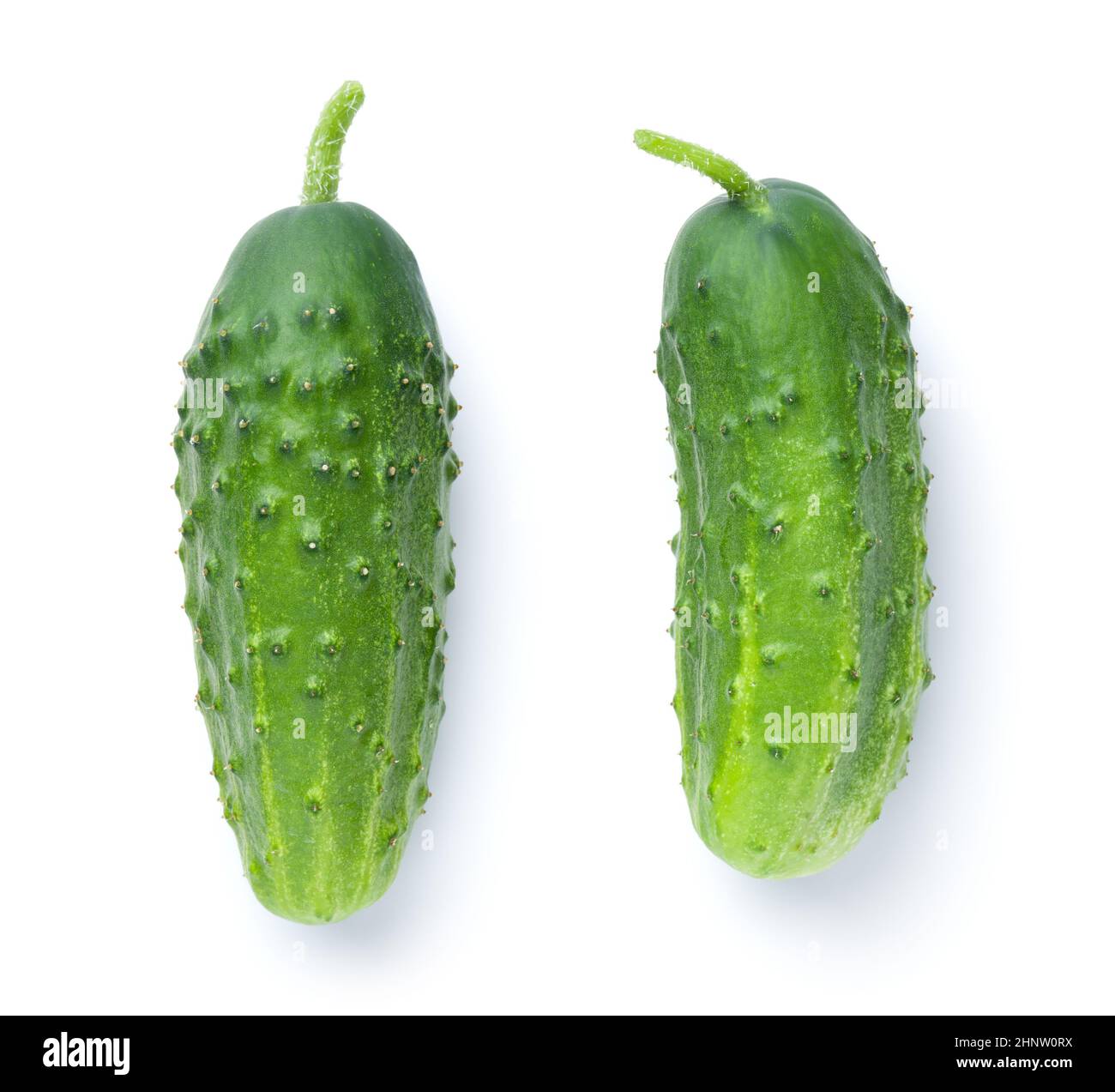Two fresh green cucumbers isolated on white background. Top view Stock Photo