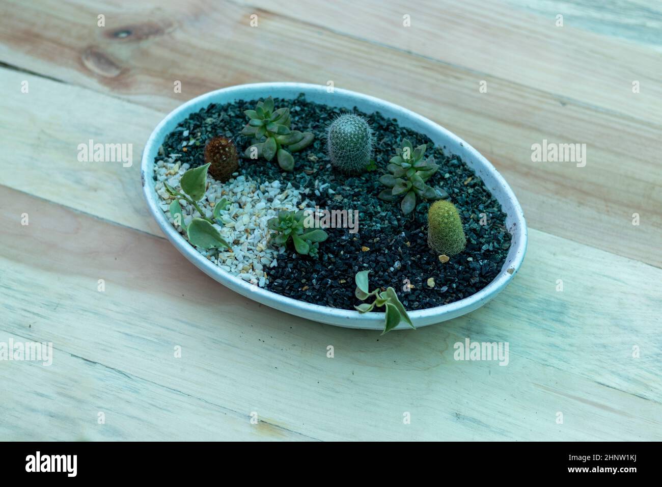 Garden Girl Small Tray