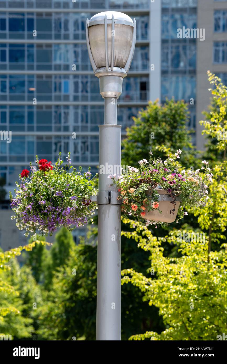 Park hanging baskets hires stock photography and images Alamy