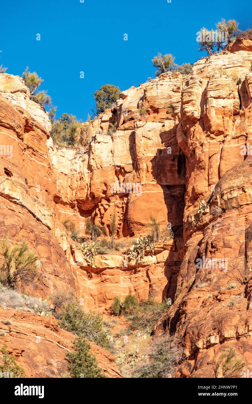 scenic red rocks at the red rock state park in Arizona Stock Photo Alamy