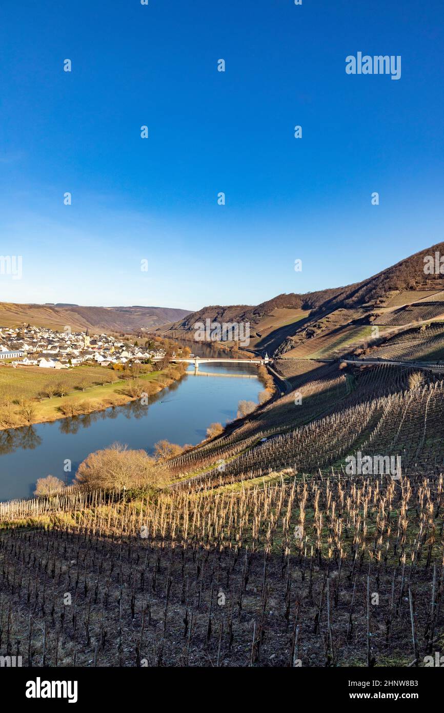 scenic moselle river loop with village Trittenheim seen from Leiwen ...