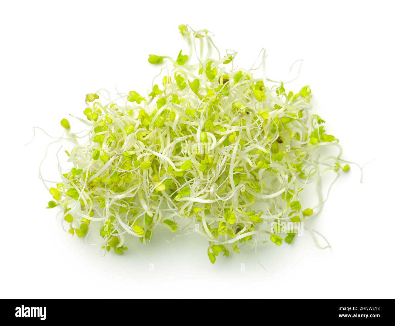 Broccoli sprouts isolated on white background. View from above Stock Photo