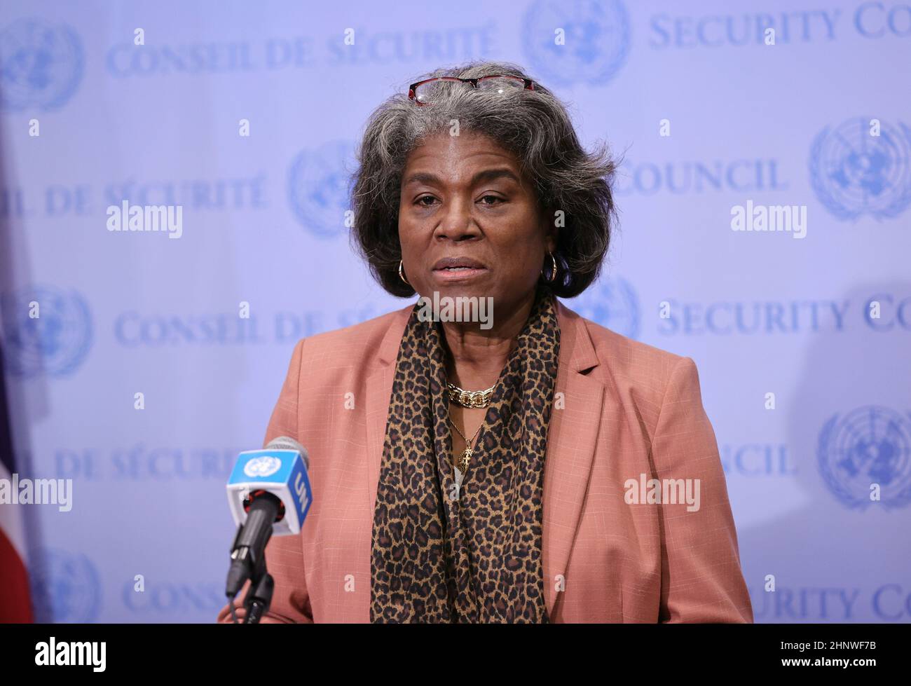 гринфилд представитель сша в оон. линда томас-гринфилд. представители оон. постпред сша при оон томас-гринфилд. представители оон.