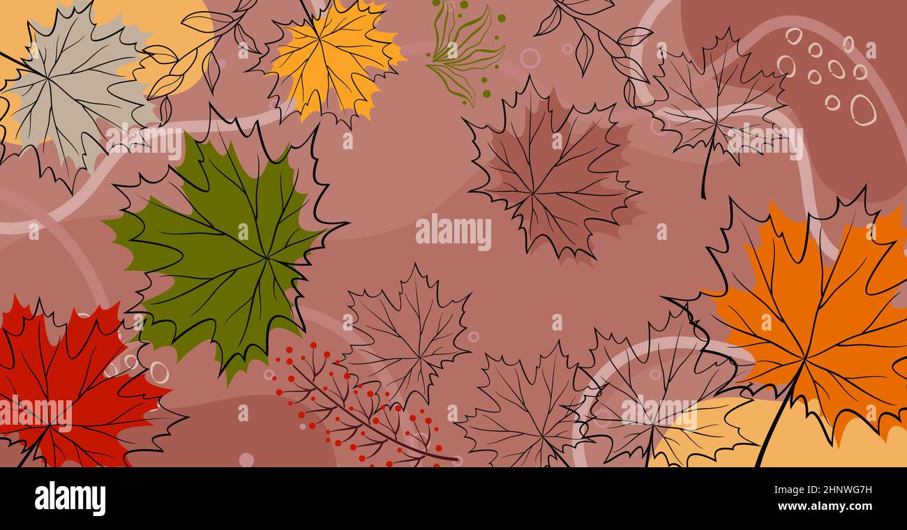 Autumn maple leaves on a colored background - Vector illustration Stock ...