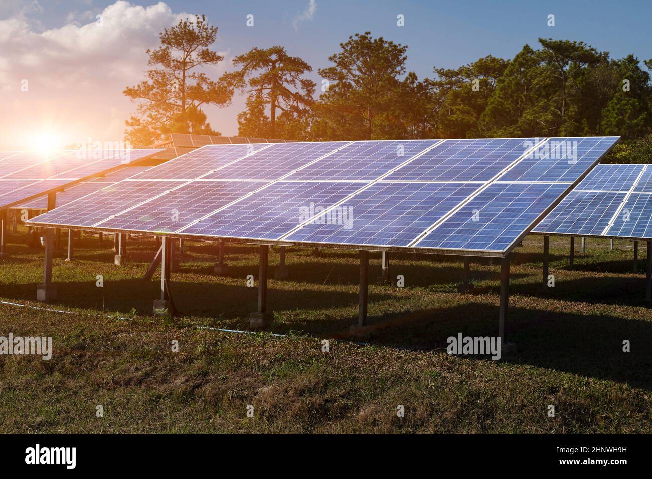 Solar module panels against sunset sky background. Environmental energy resources concept. Stock Photo