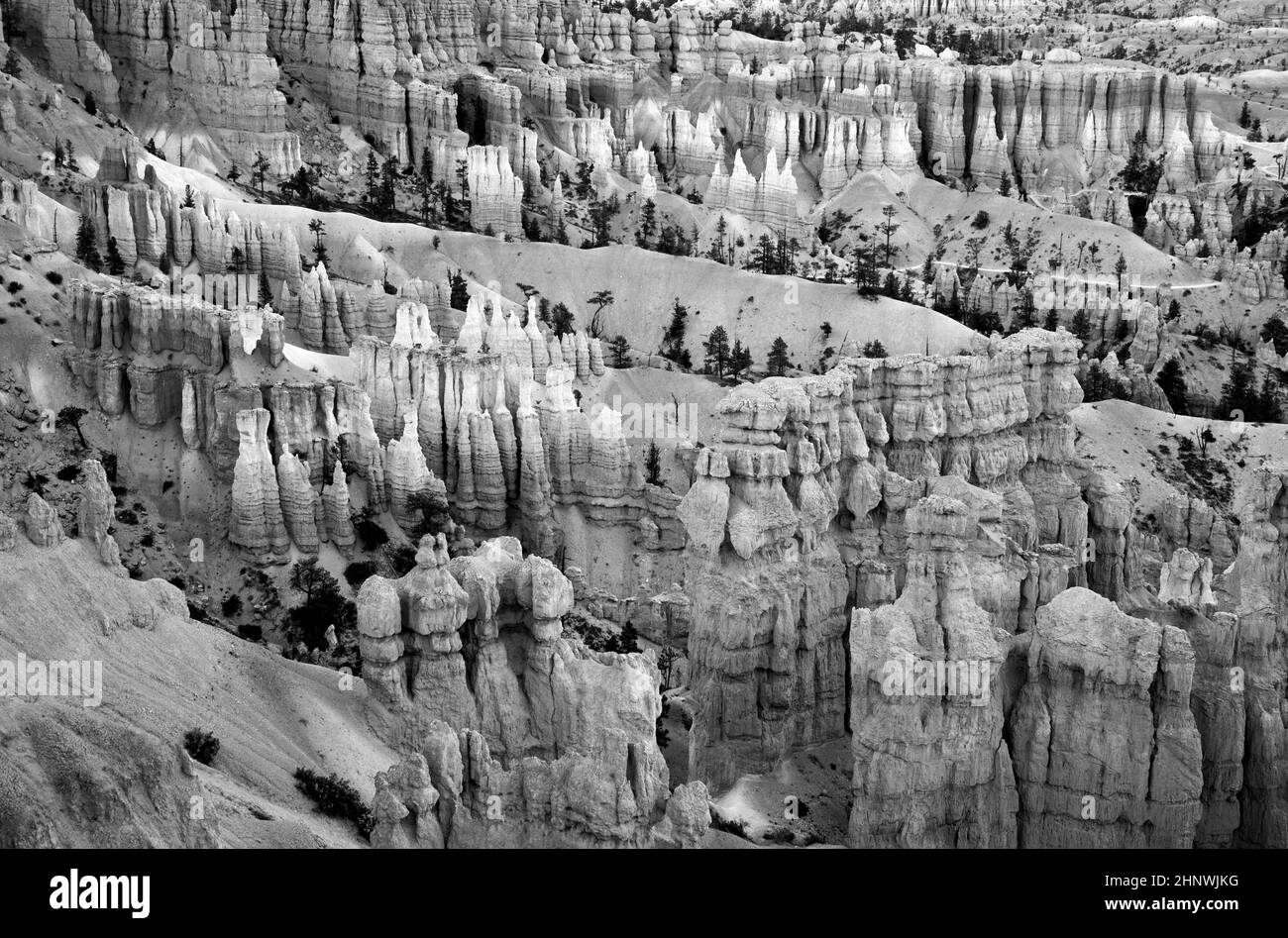 scenic Bryce canyon landscape with hoodoos in the USA Stock Photo