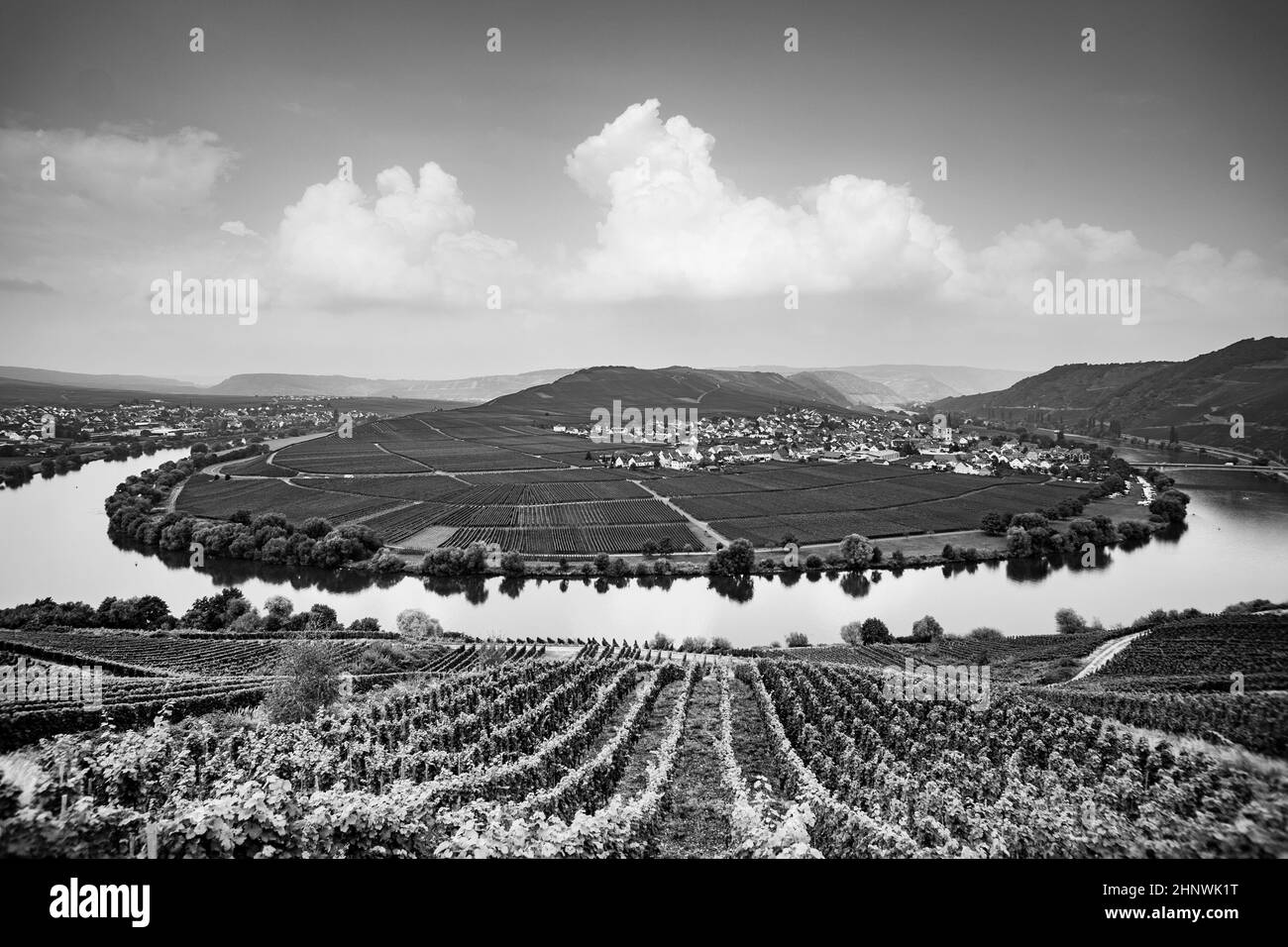 famous Moselle Sinuosity in Trittenheim, germany Stock Photo